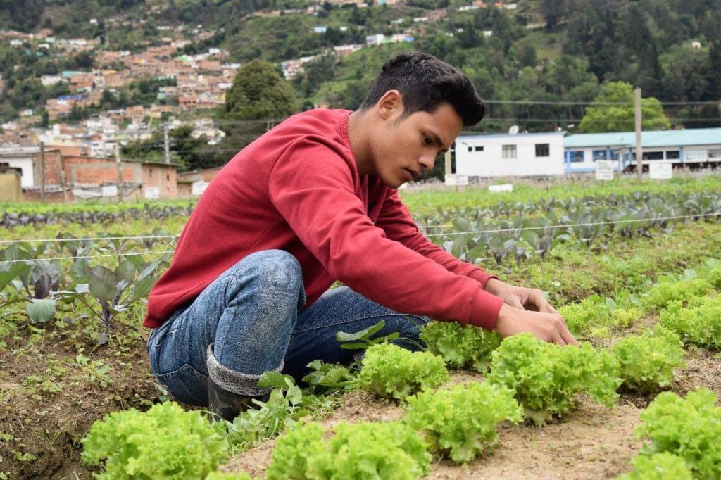 Iser|Misión Y Visión