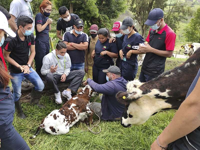 Image Hover Effect Image