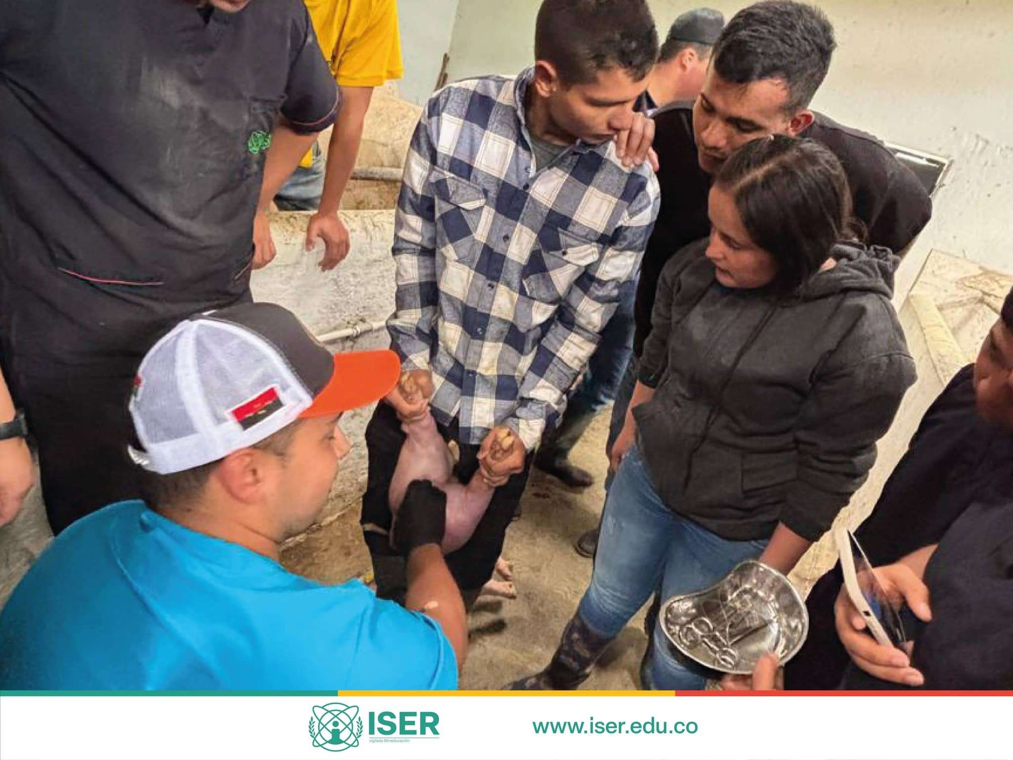 Jornada Práctica Enfocada En El Manejo Animal Y Orquiectomía En Porcinos