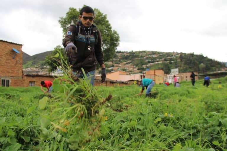 Image Hover Effect Image