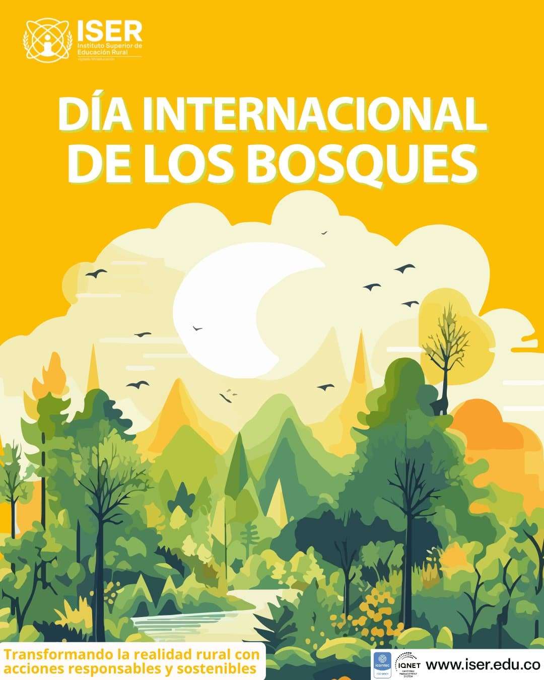Día Internacional De Los Bosques