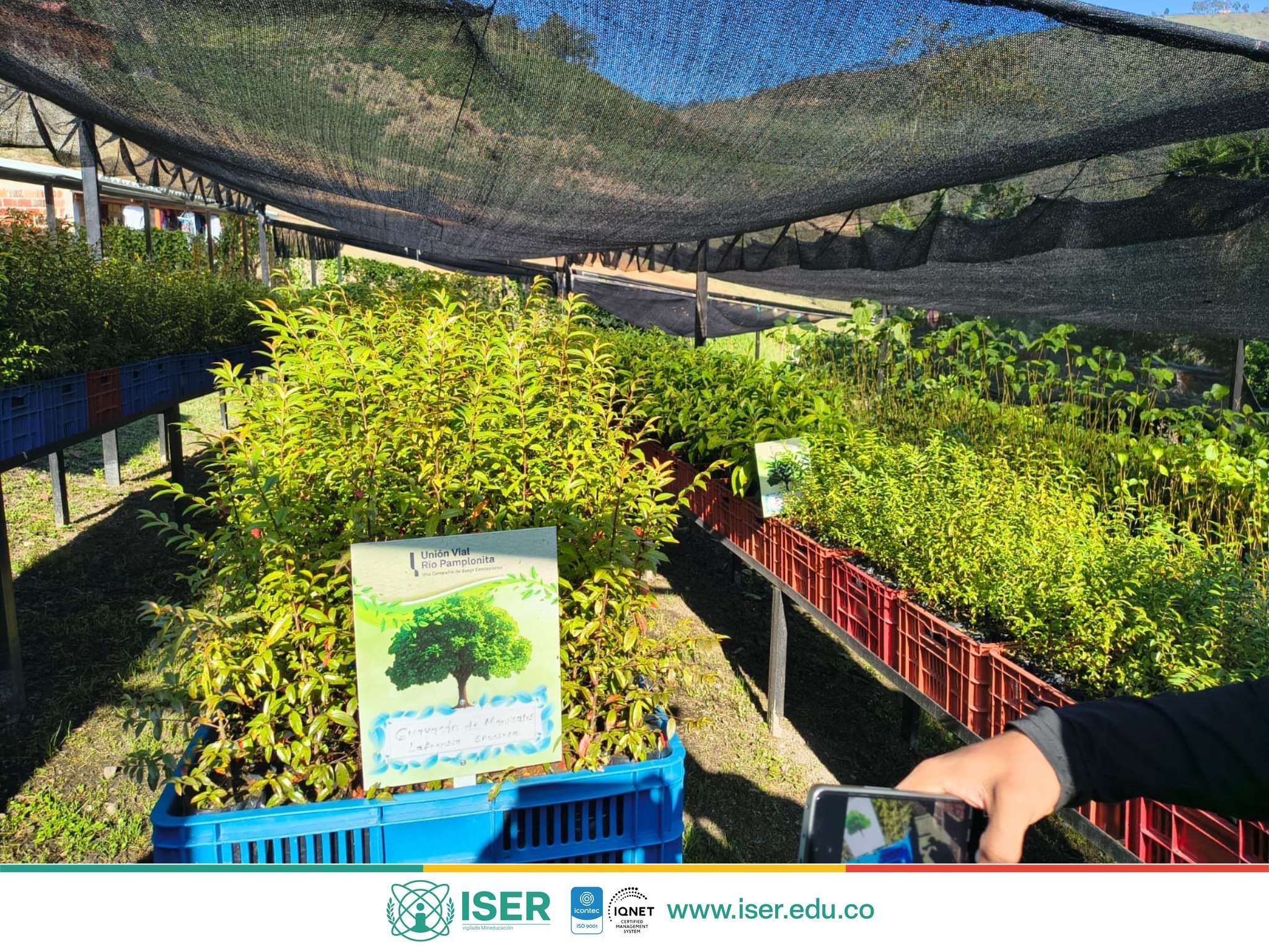 Jornada De Aprendizaje Técnico Orientada Al Fortalecimiento De Su Vivero Institucional. 4