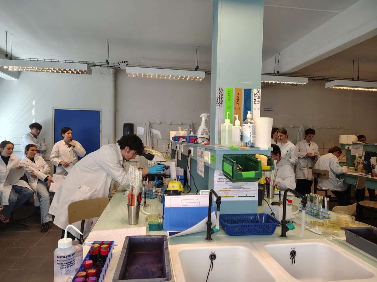 Iser Avanza En Cooperación Académica Con Francia 5