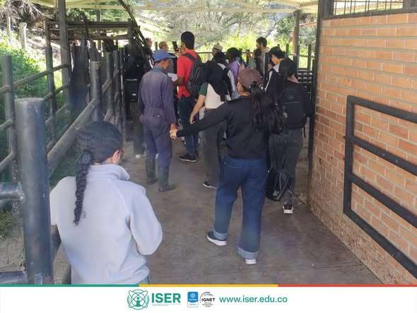 Salida académica a la finca La Rinconada 1