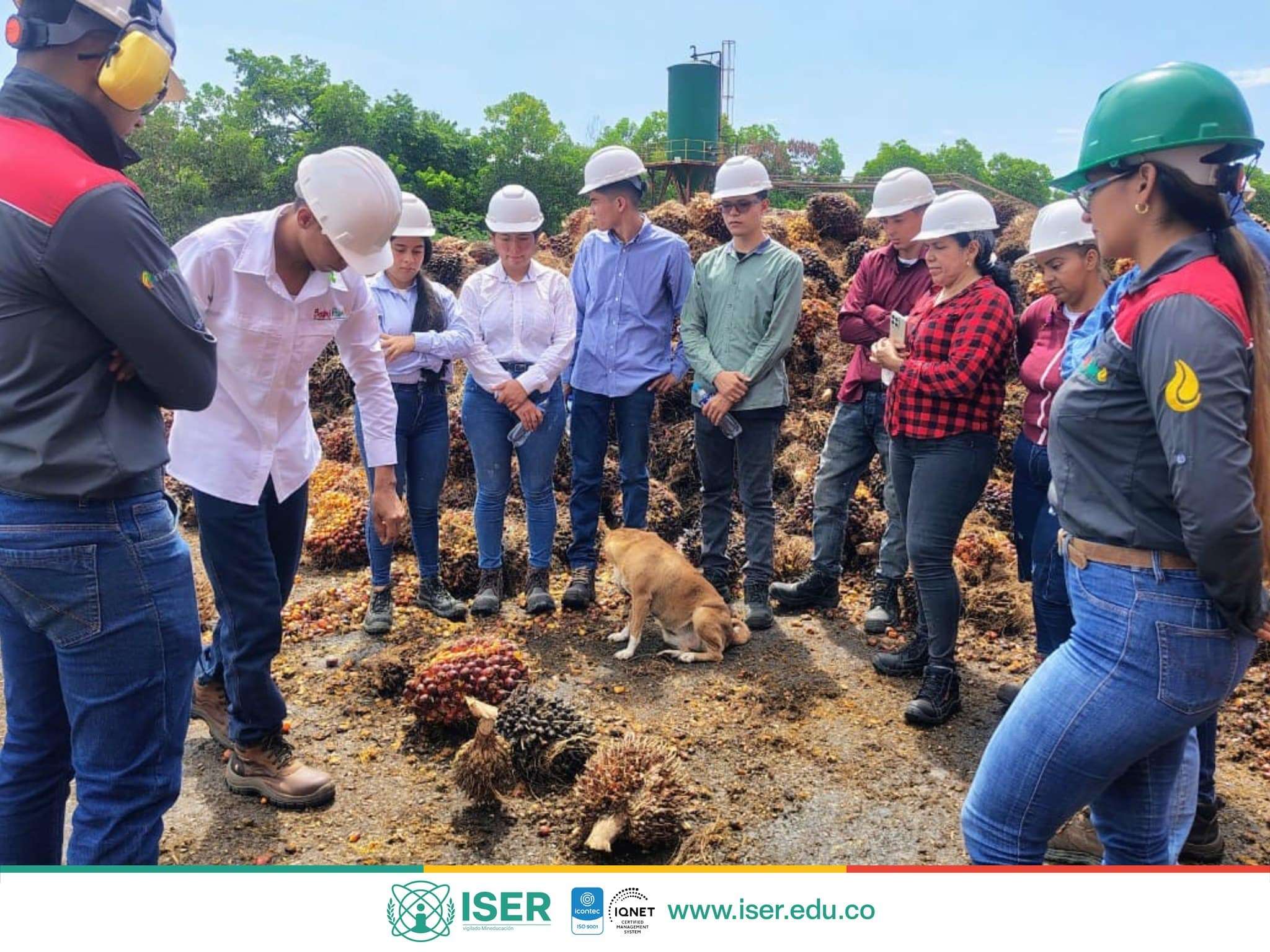 Visita Académica A La Planta Extractora Babu Palm-Oil Products S.a.s. 4