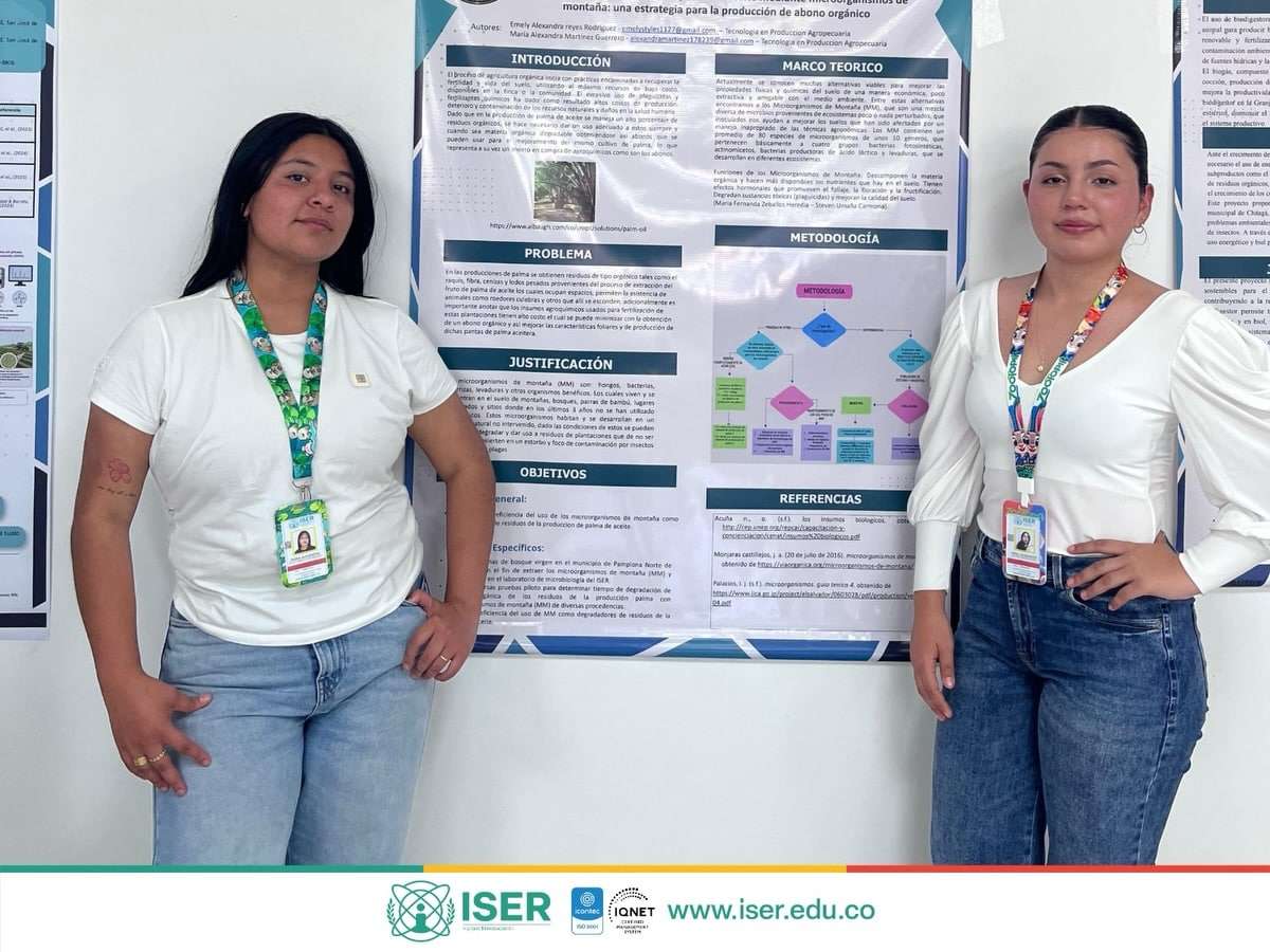 Xii Encuentro Departamental De Semilleros De Investigación – Edesi Redcolsi 1