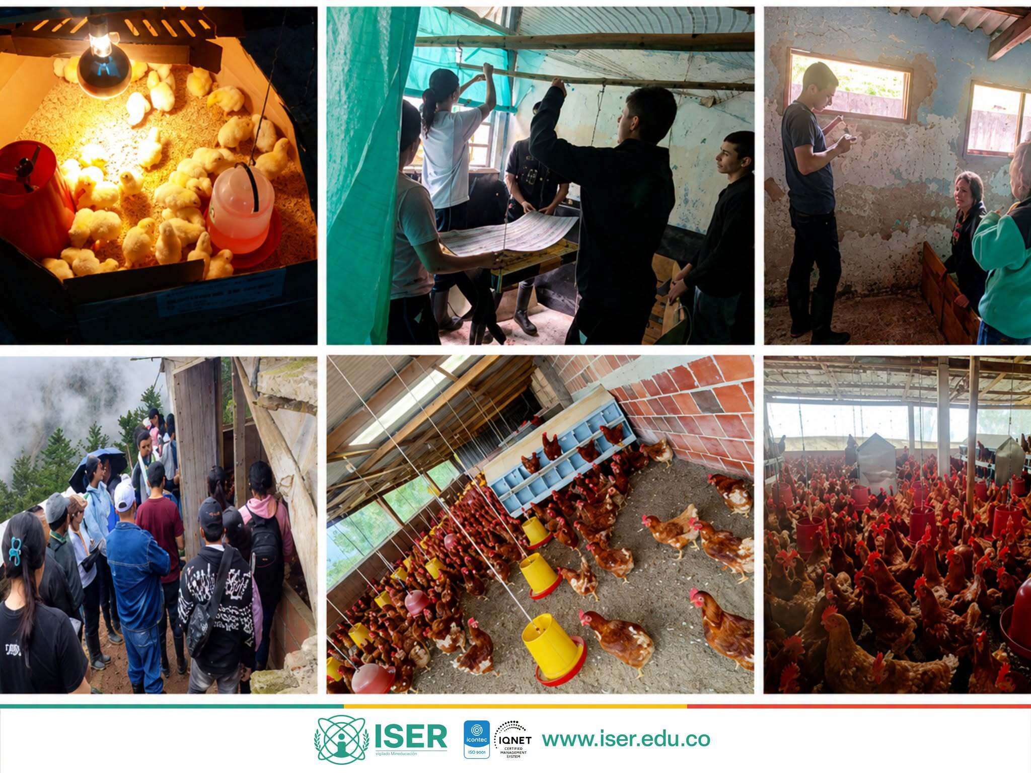 ISER | Estudiantes de Tecnología en Producción Agropecuaria fortalecen su aprendizaje mediante prácticas de campo y experiencias productivas Estudiantes de Tecnología en Producción Agropecuaria fortalecen su aprendizaje mediante prácticas de campo y experiencias produc