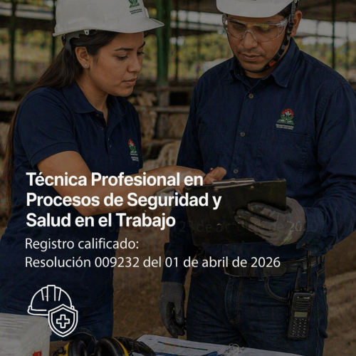 Técnica Profesional En Procesos De Seguridad Y Salud En El Trabajo