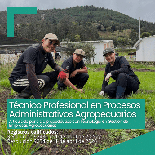 Procesos administrativos agropecuarios