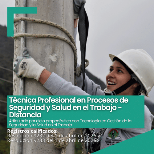 Procesos de seguridad y salud en el trabajo distancia