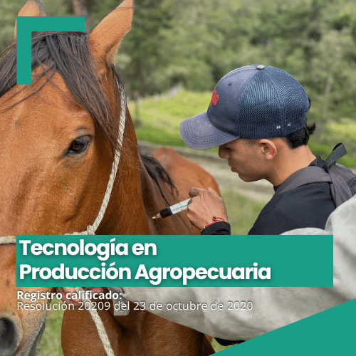 Agropecuaria