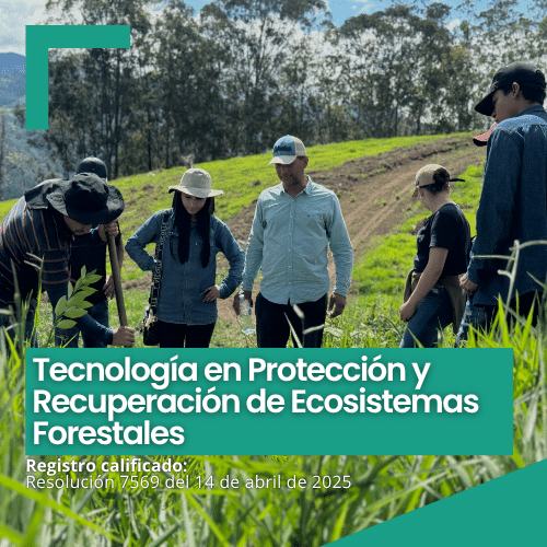 Recuperación ecosistemas