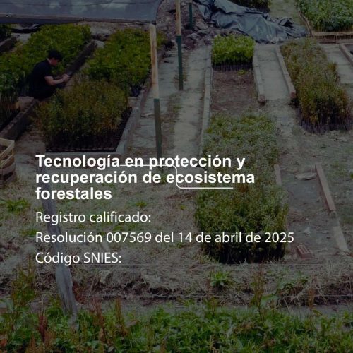 Tecnología En Protección Y Recuperación De Ecosistema Forestales