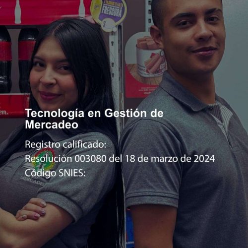 Tecnología En Gestión De Mercadeo