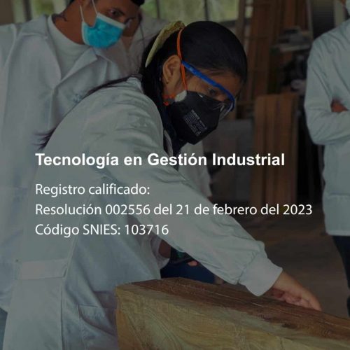 Tecnología En Gestión Industrial